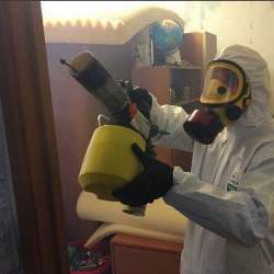 Уничтожение клопов в квартире. Медведково